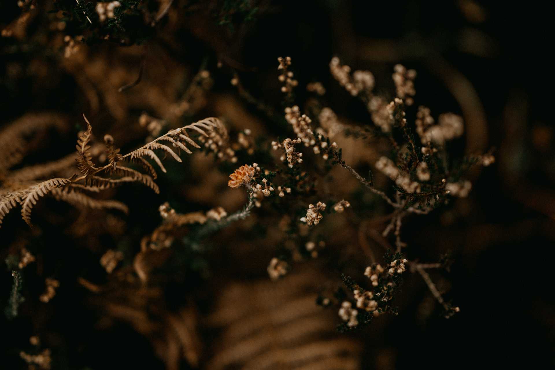 How to optimize your return on investment ?